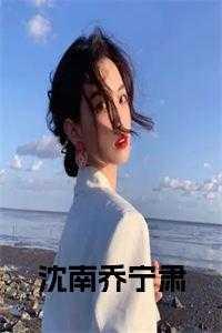 沈南乔宁肃小说大结局